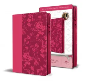 SANTA BIBLIA REINA VALERA