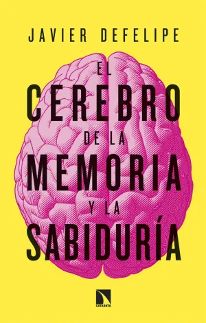 EL CEREBRO DE LA MEMORIA Y LA SABIDURIA