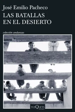 LAS BATALLAS EN EL DESIERTO