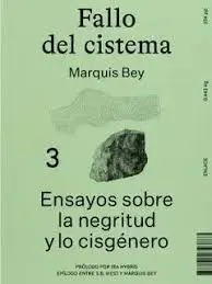 FALLO DEL CISTEMA