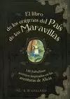 EL LIBRO DE LOS ENIGMAS DEL PAIS DE LAS MARAVILLAS