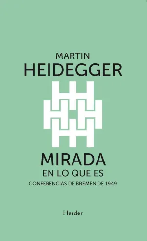 MIRADA EN LO QUE ES
