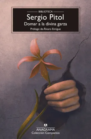 DOMAR A LA DIVINA GARZA - BSP