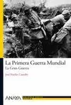 LA PRIMERA GUERRA MUNDIAL: LA GRAN GUERRA