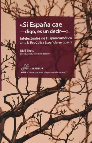 SI ESPAÑA CAE DIGO, ES UN DECIR