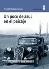UN POCO DE AZUL EN EL PAISAJE