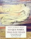 LO QUE HABIA TRAS LOS VELOS