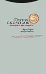 TEXTOS GNOSTICOS. BIBLIOTECA DE NAG HAMMADI, III