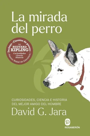 LA MIRADA DEL PERRO