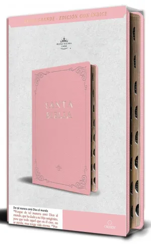 SANTA BIBLIA EVANGELICA REINA VALERA